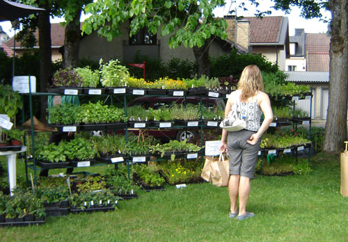 Plantor